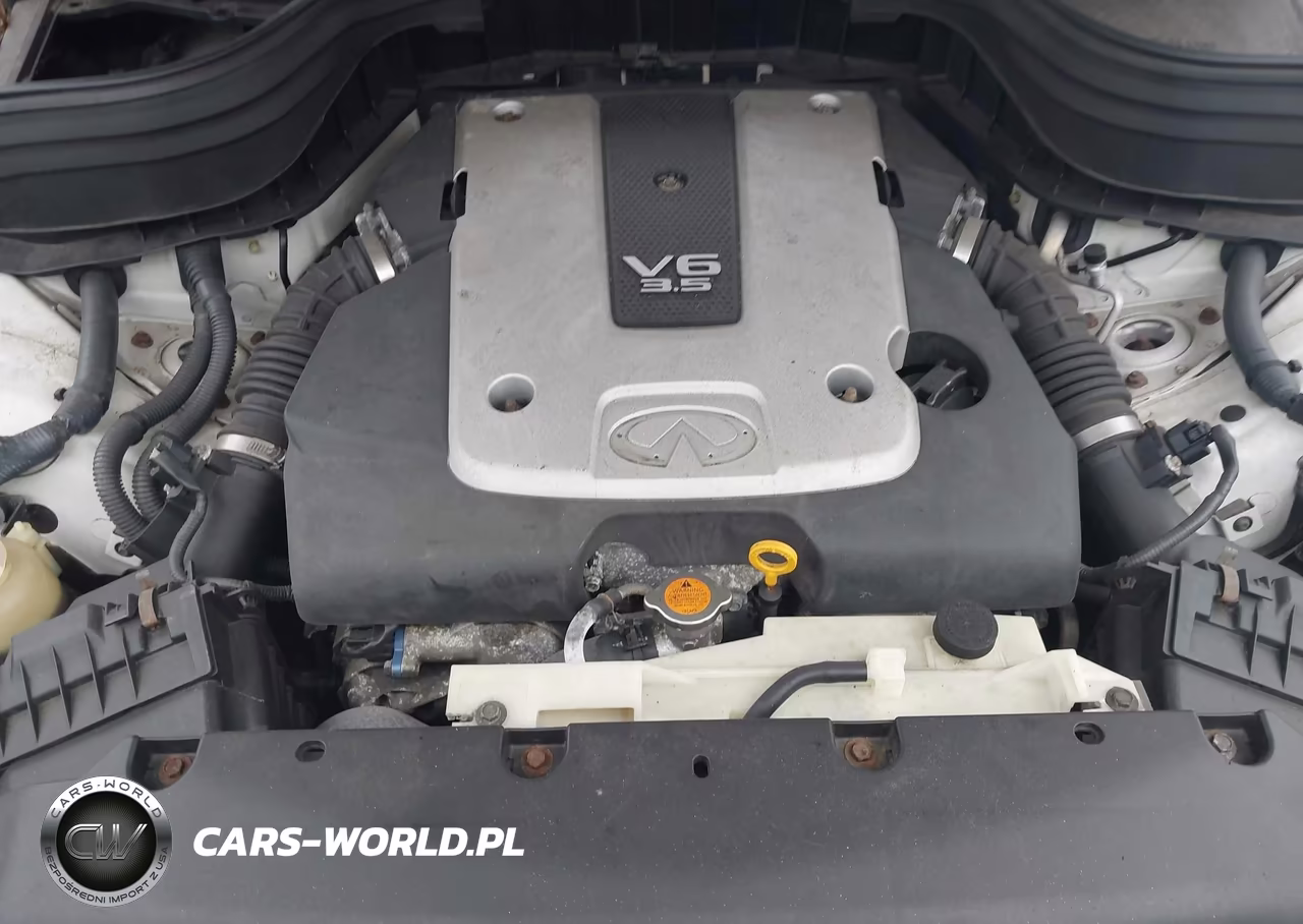2008 Infiniti Ex35 Journey VIN:JNKAJ09F08M356265 - 10