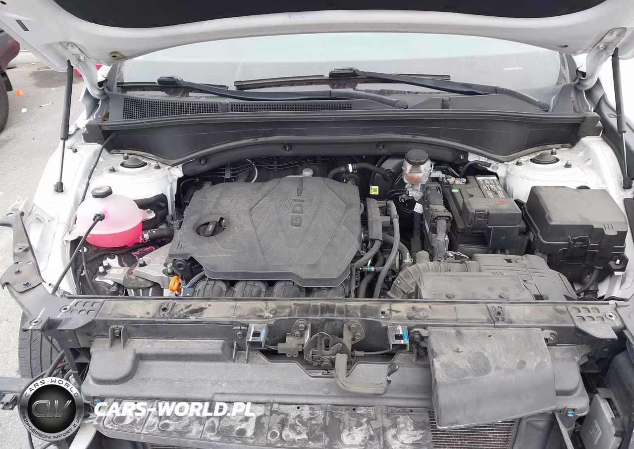 2022 Hyundai Santa Fe Xrt VIN:5NMS64AJ8NH421090 - 10