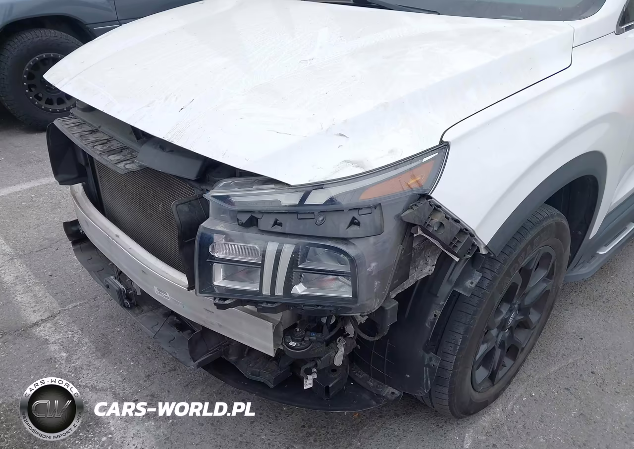 2022 Hyundai Santa Fe Xrt VIN:5NMS64AJ8NH421090 - 13