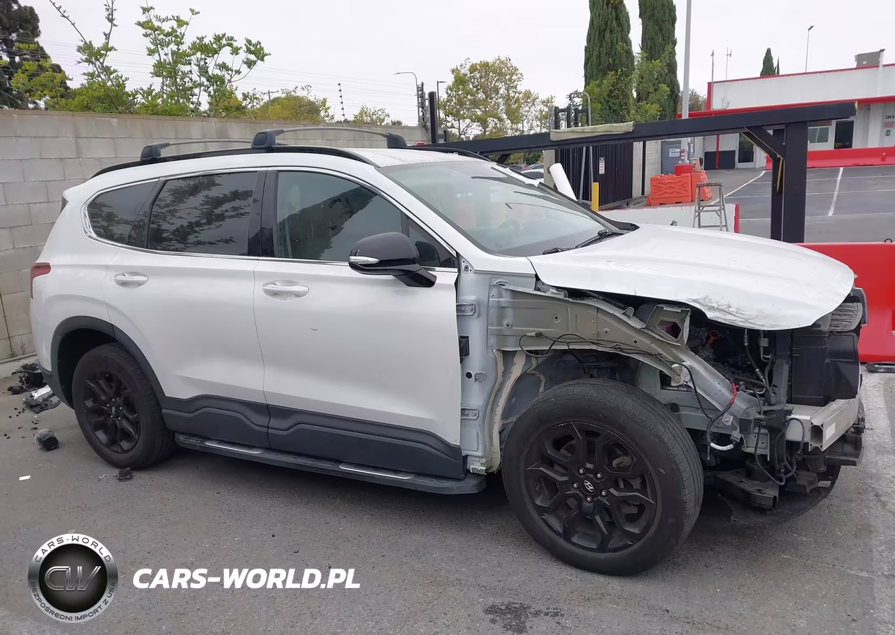 2022 Hyundai Santa Fe Xrt VIN:5NMS64AJ8NH421090 - 16