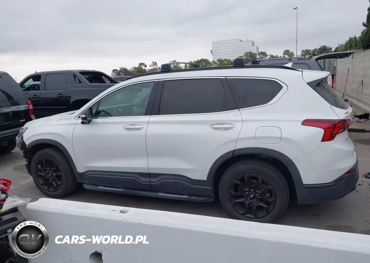 2022 Hyundai Santa Fe Xrt VIN:5NMS64AJ8NH421090 - 17