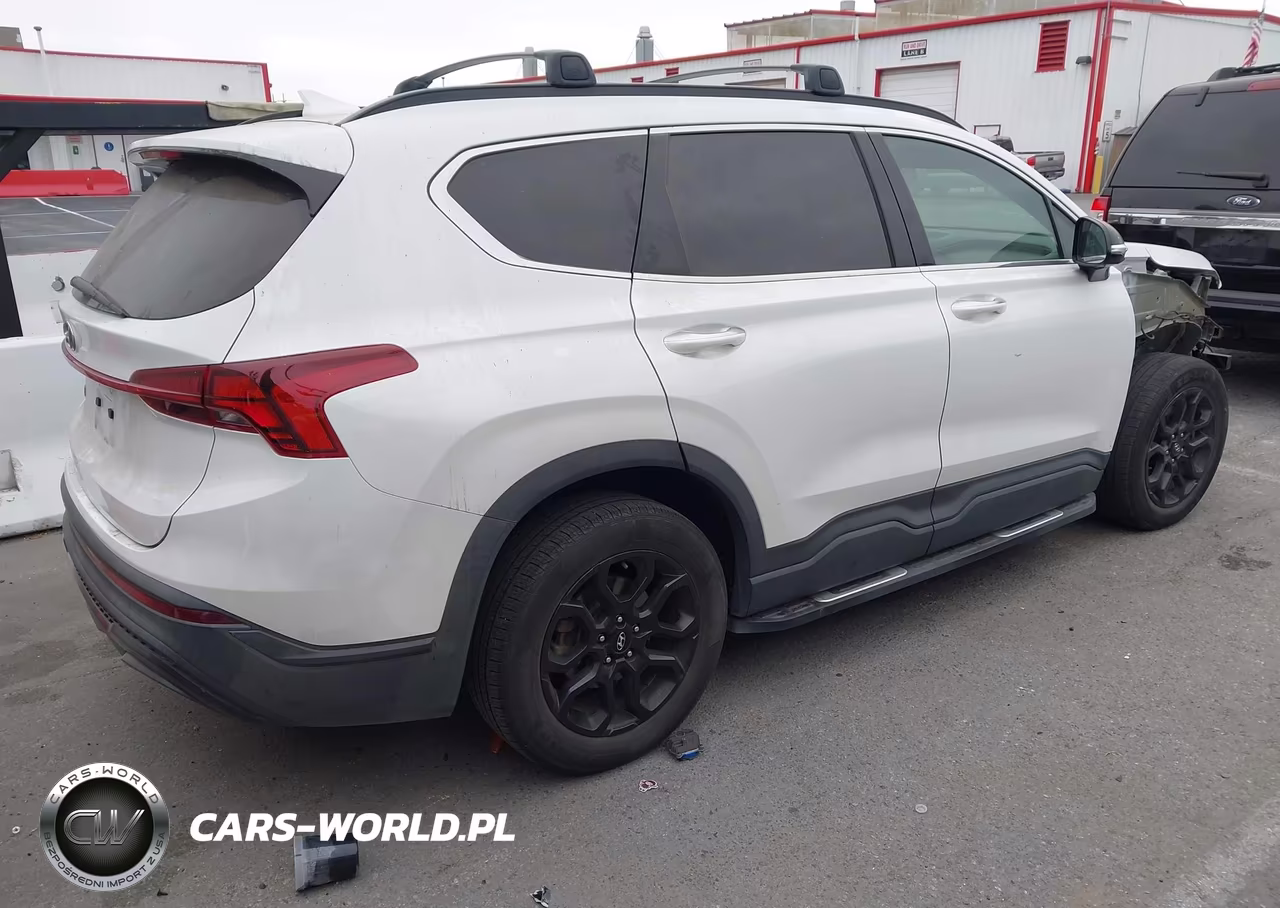 2022 Hyundai Santa Fe Xrt VIN:5NMS64AJ8NH421090 - 4