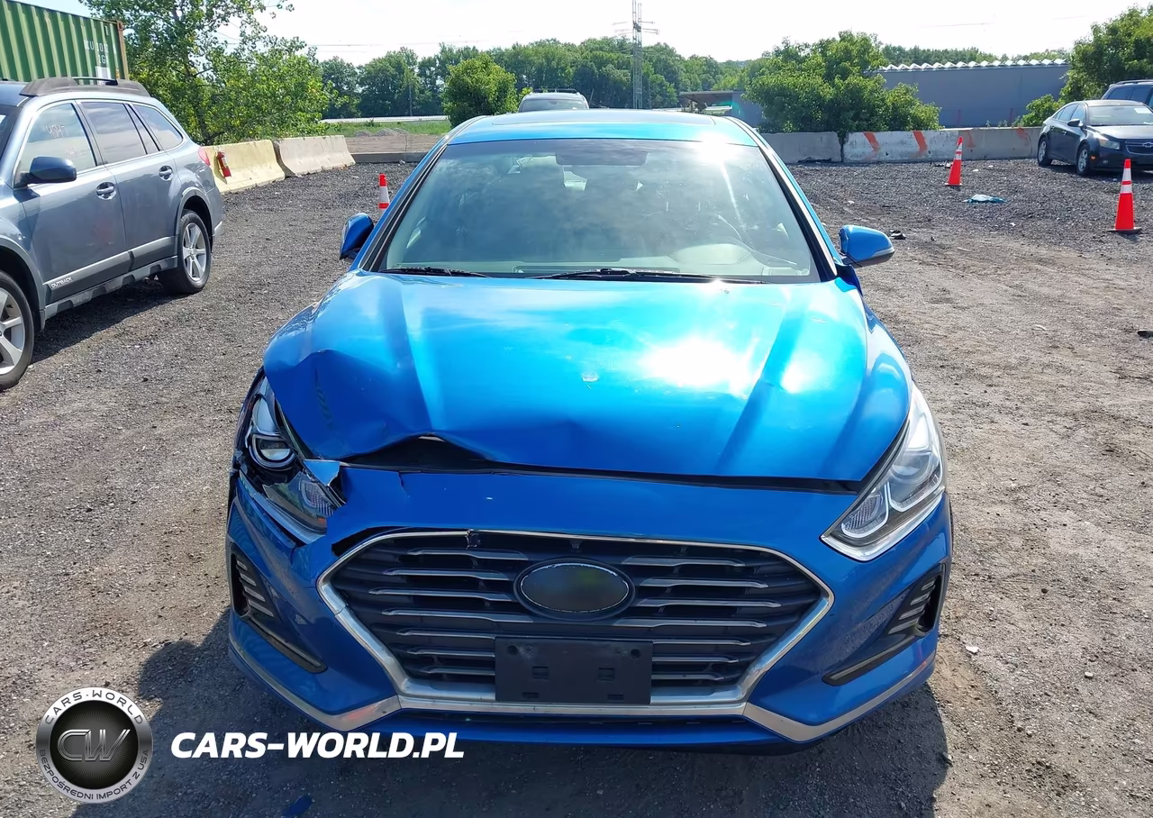 2018 Hyundai Sonata Limited VIN:5NPE34AF2JH626970 - 12