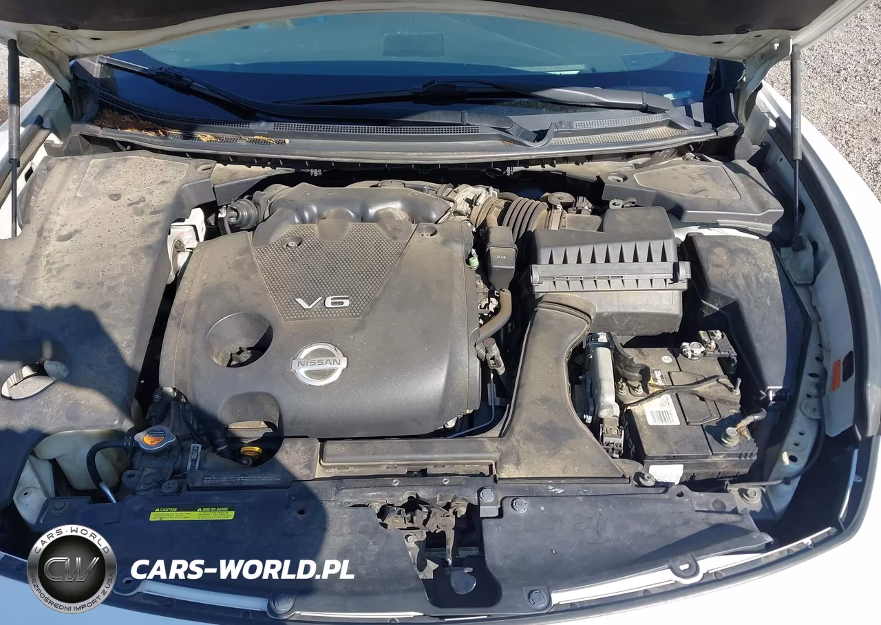 2009 Nissan Maxima 3.5 Sv VIN:1N4AA51E09C830259 - 10
