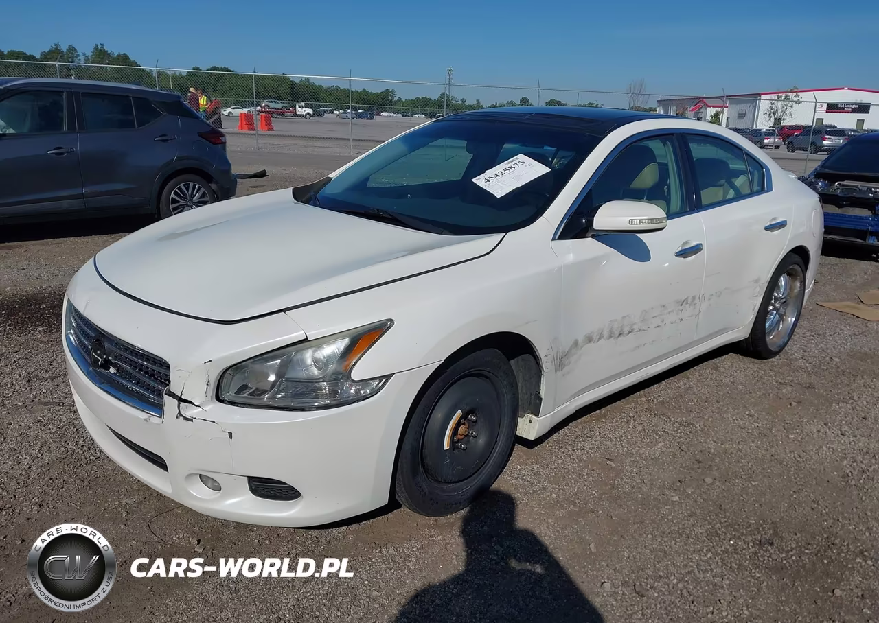 2009 Nissan Maxima 3.5 Sv VIN:1N4AA51E09C830259 - 2