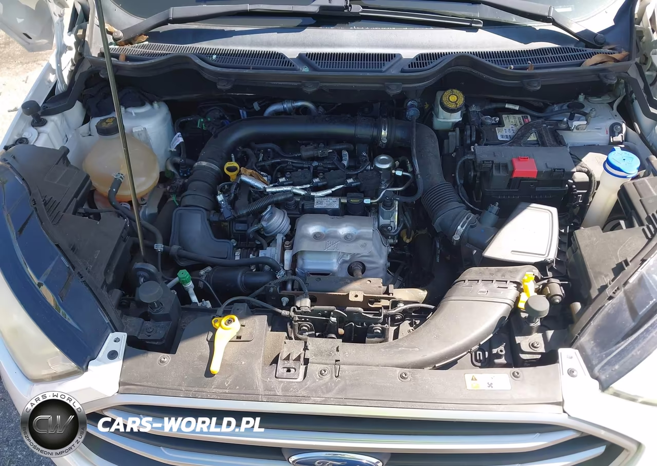 2019 Ford Ecosport Se VIN:MAJ3S2GE1KC301176 - 10