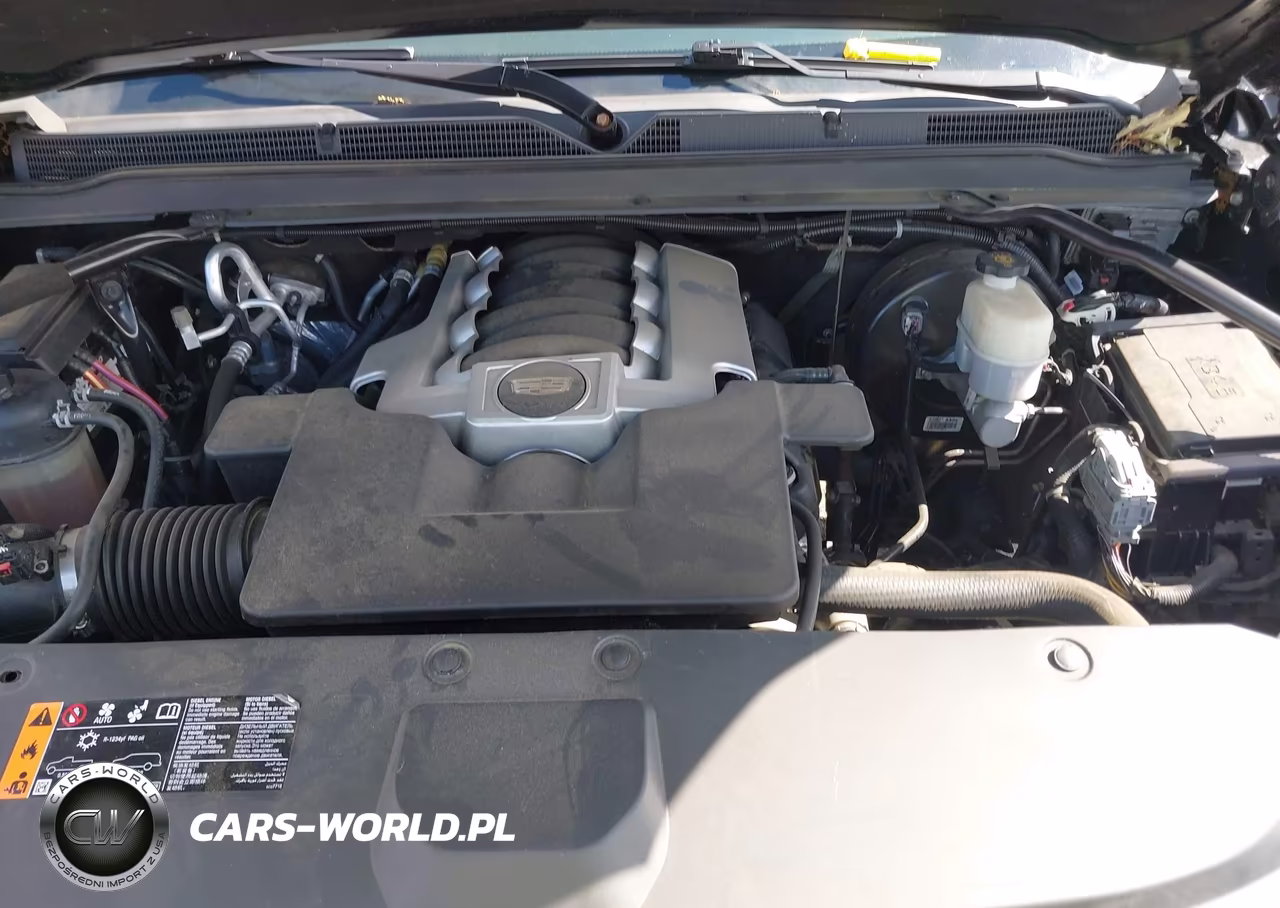 2019 Cadillac Escalade Premium Luxury VIN:1GYS4CKJ1KR305598 - 10