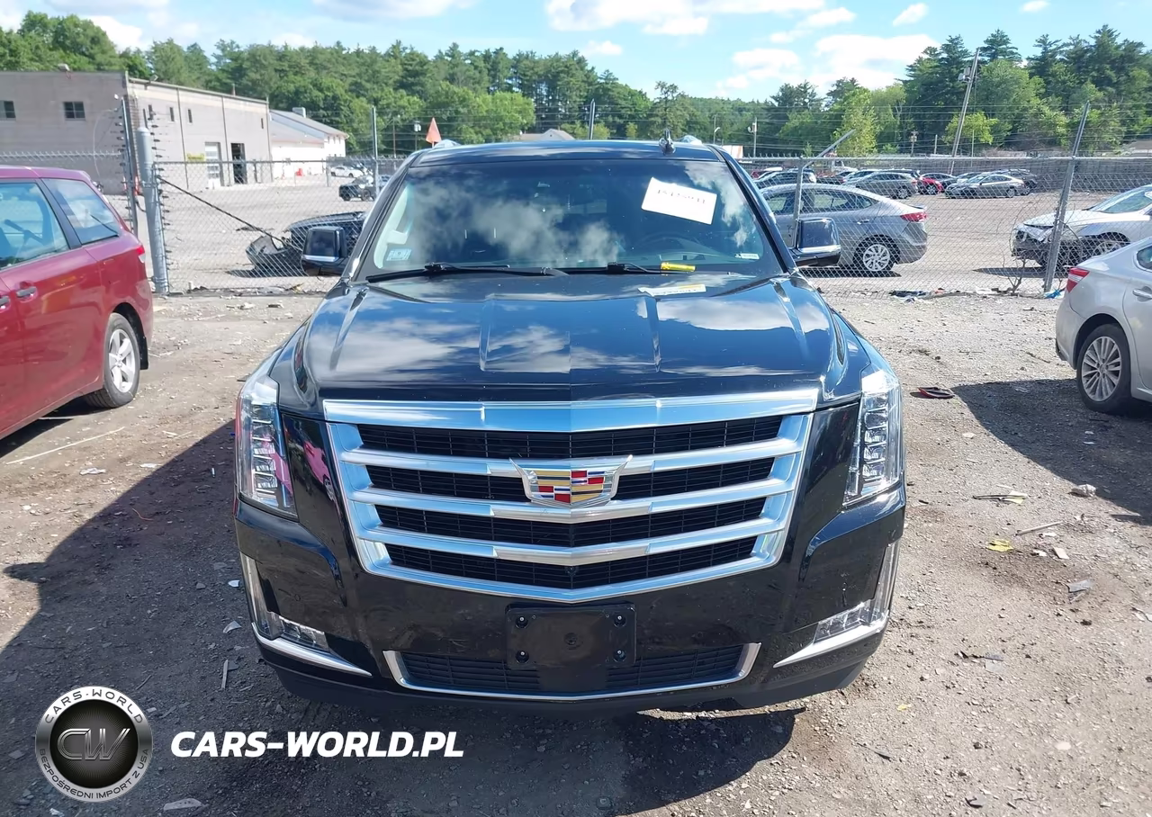 2019 Cadillac Escalade Premium Luxury VIN:1GYS4CKJ1KR305598 - 12