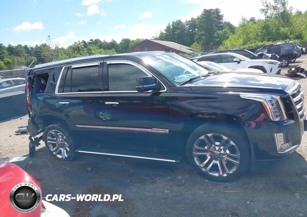 2019 Cadillac Escalade Premium Luxury VIN:1GYS4CKJ1KR305598 - 13