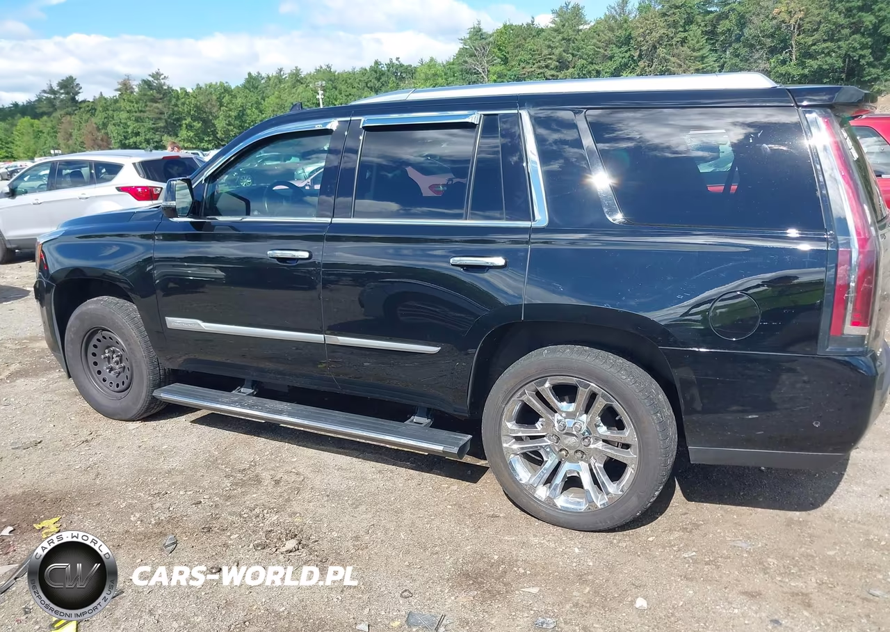 2019 Cadillac Escalade Premium Luxury VIN:1GYS4CKJ1KR305598 - 14