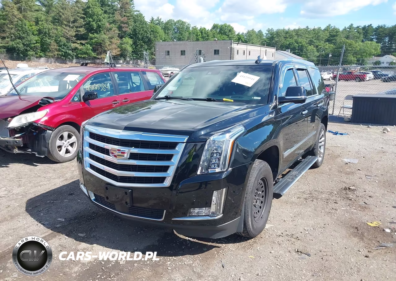2019 Cadillac Escalade Premium Luxury VIN:1GYS4CKJ1KR305598 - 2