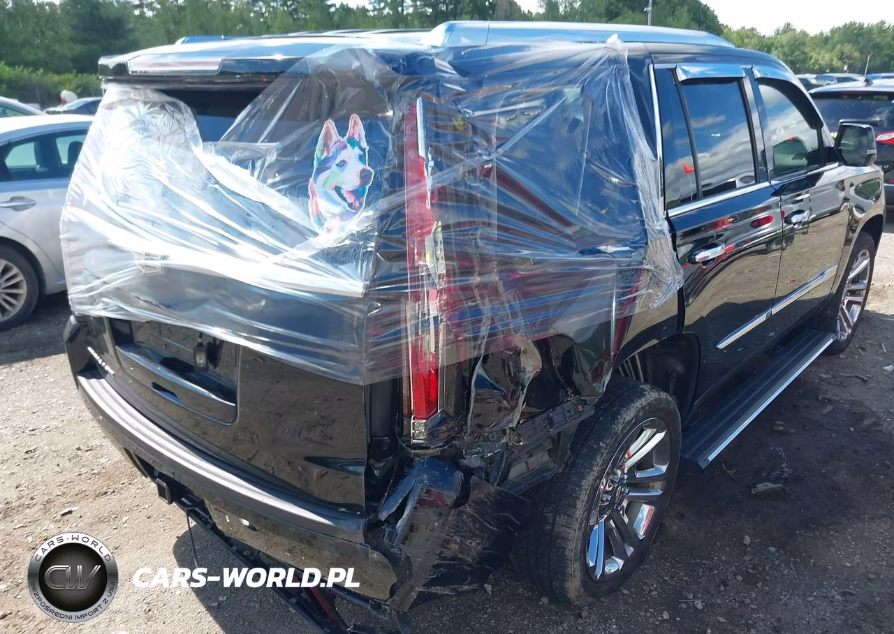 2019 Cadillac Escalade Premium Luxury VIN:1GYS4CKJ1KR305598 - 6