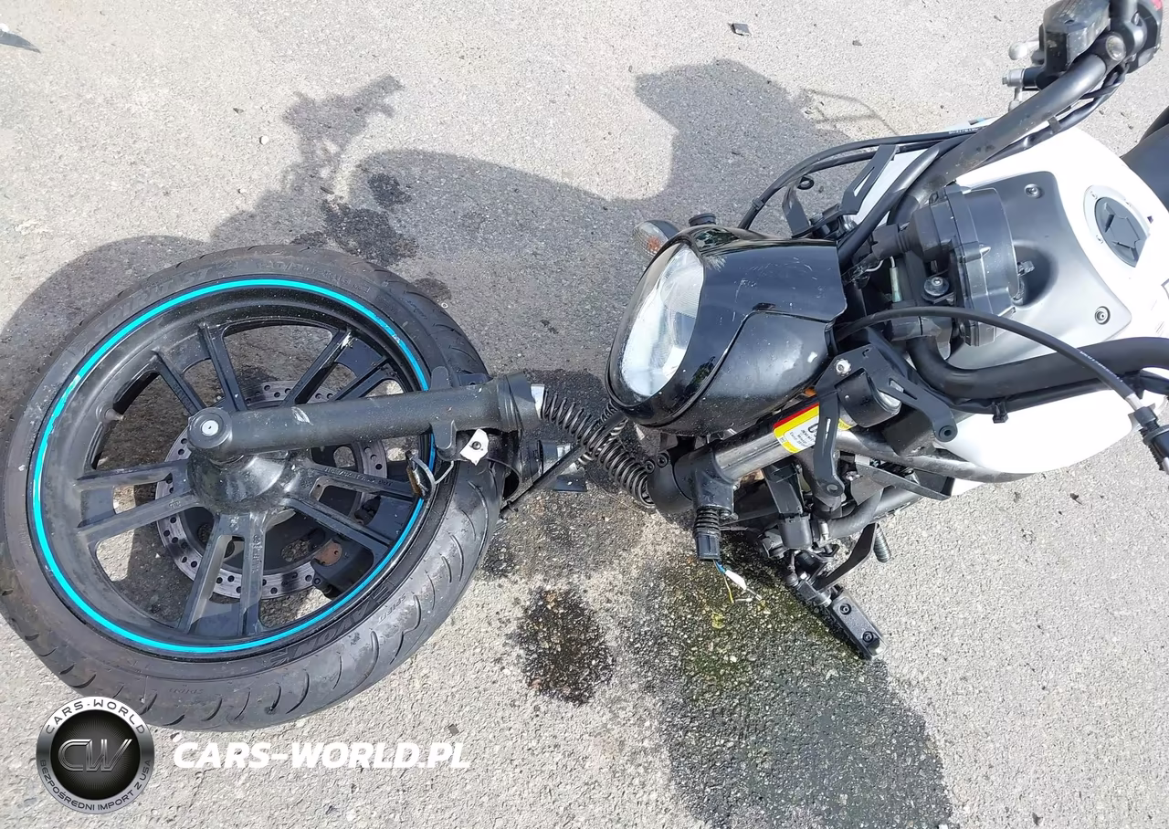 2021 Kawasaki En650 C VIN:JKAENEC14MDA03939 - 15