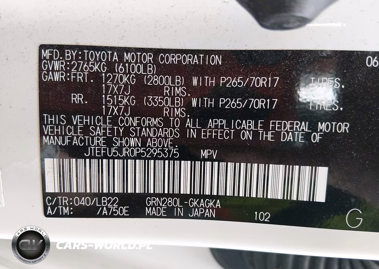2023 Toyota 4Runner VIN:JTEFU5JR0P5295375 - 9