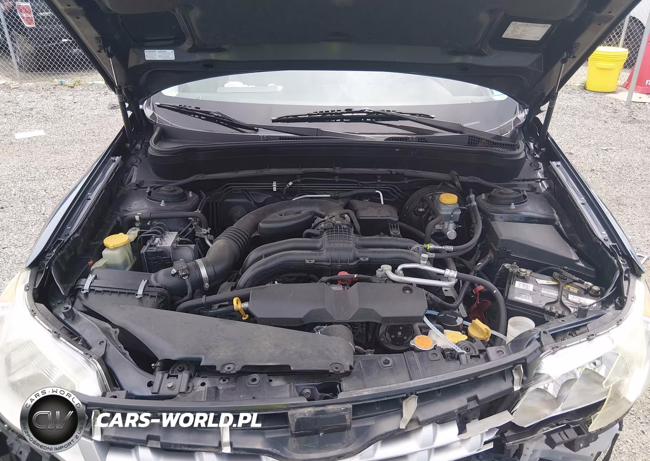 2013 Subaru Forester 2.5X VIN:JF2SHABC6DH438464 - 10