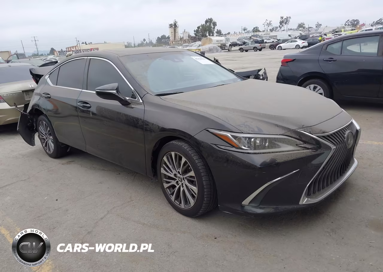 2019 Lexus Es 300H