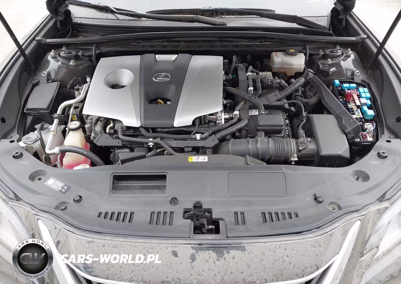 2019 Lexus Es 300H VIN:JTHB21B18K2003426 - 10