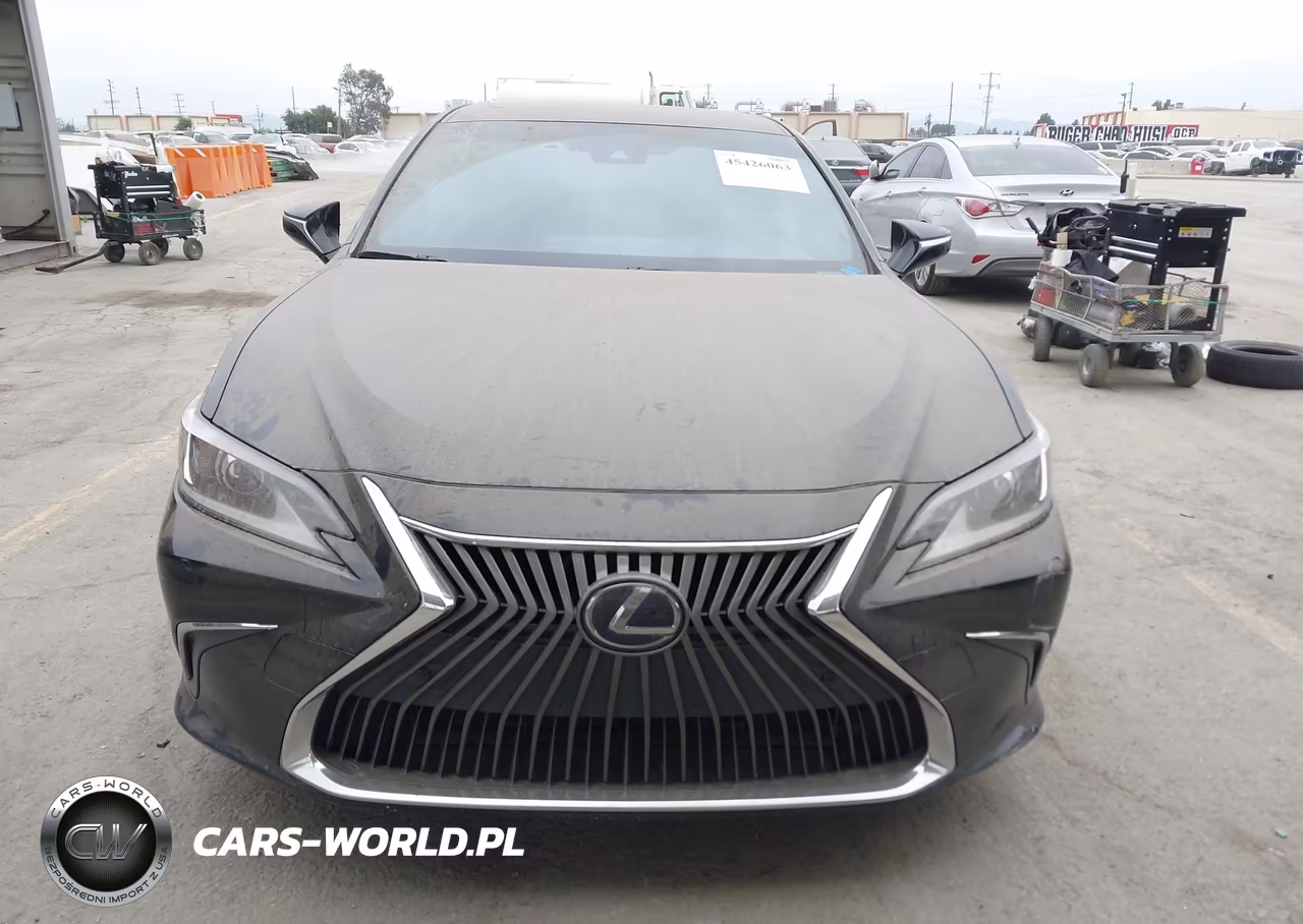 2019 Lexus Es 300H VIN:JTHB21B18K2003426 - 13