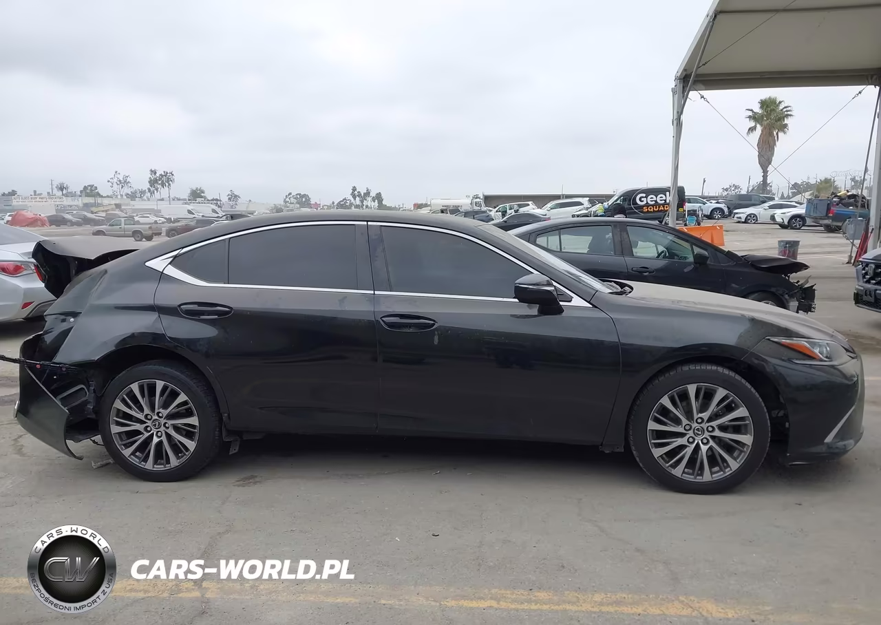 2019 Lexus Es 300H VIN:JTHB21B18K2003426 - 14