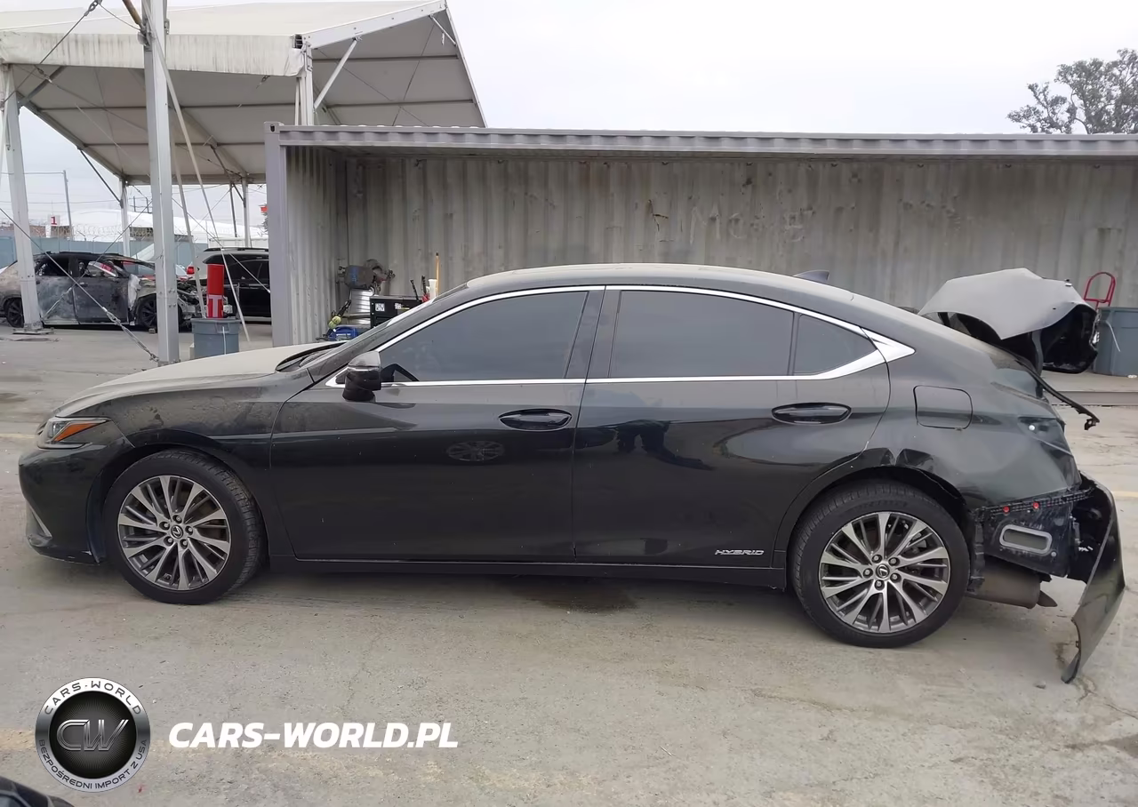 2019 Lexus Es 300H VIN:JTHB21B18K2003426 - 15