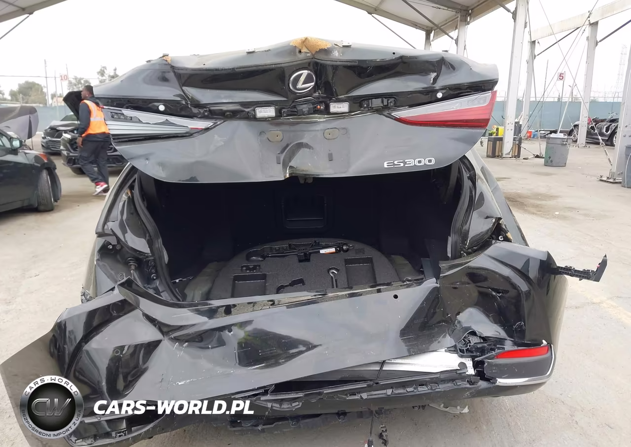 2019 Lexus Es 300H VIN:JTHB21B18K2003426 - 17