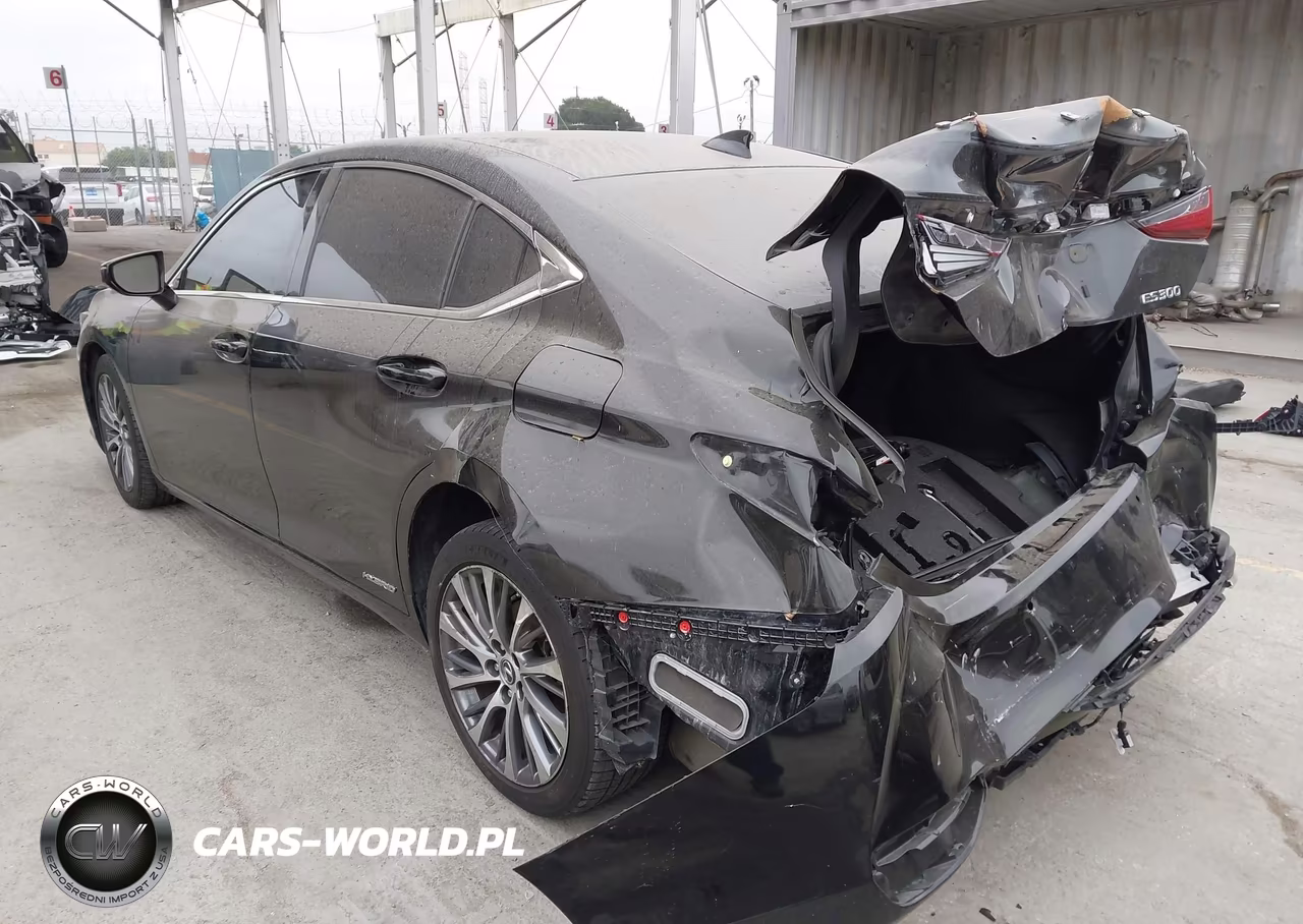 2019 Lexus Es 300H VIN:JTHB21B18K2003426 - 3