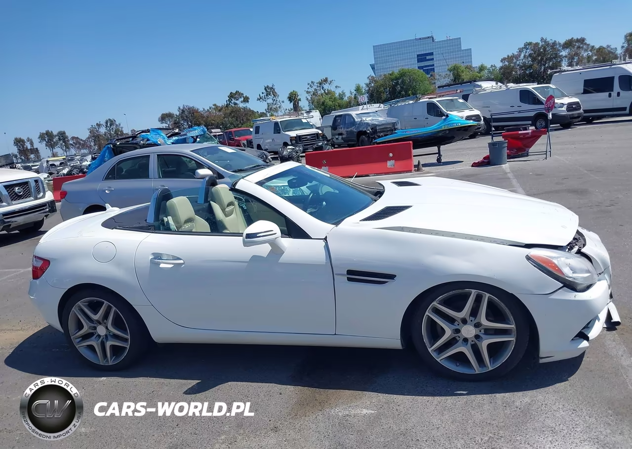 2015 Mercedes-Benz Slk 250 VIN:WDDPK4HA6FF097441 - 13