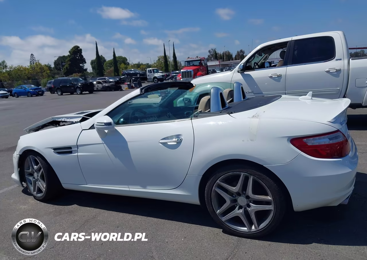 2015 Mercedes-Benz Slk 250 VIN:WDDPK4HA6FF097441 - 14