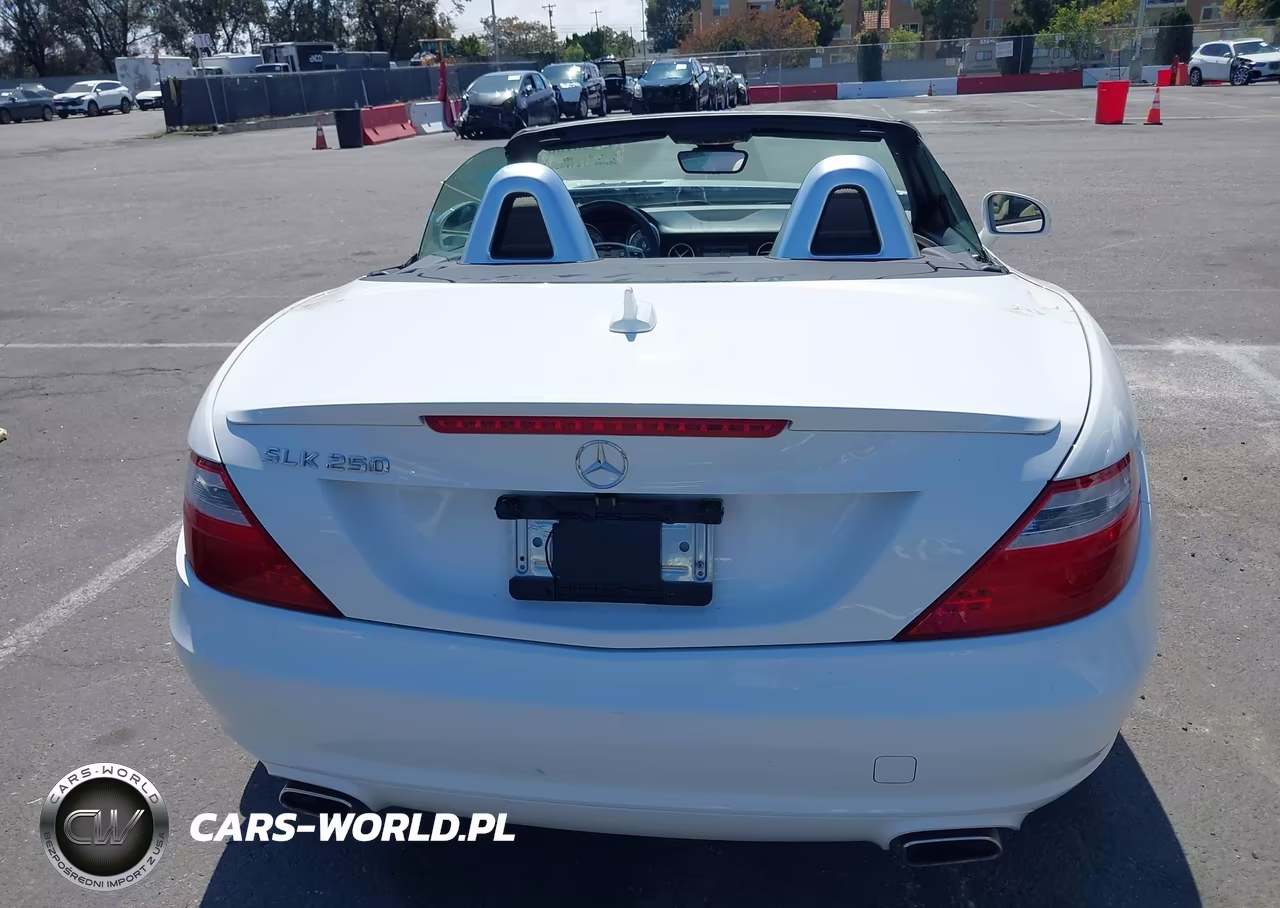 2015 Mercedes-Benz Slk 250 VIN:WDDPK4HA6FF097441 - 16