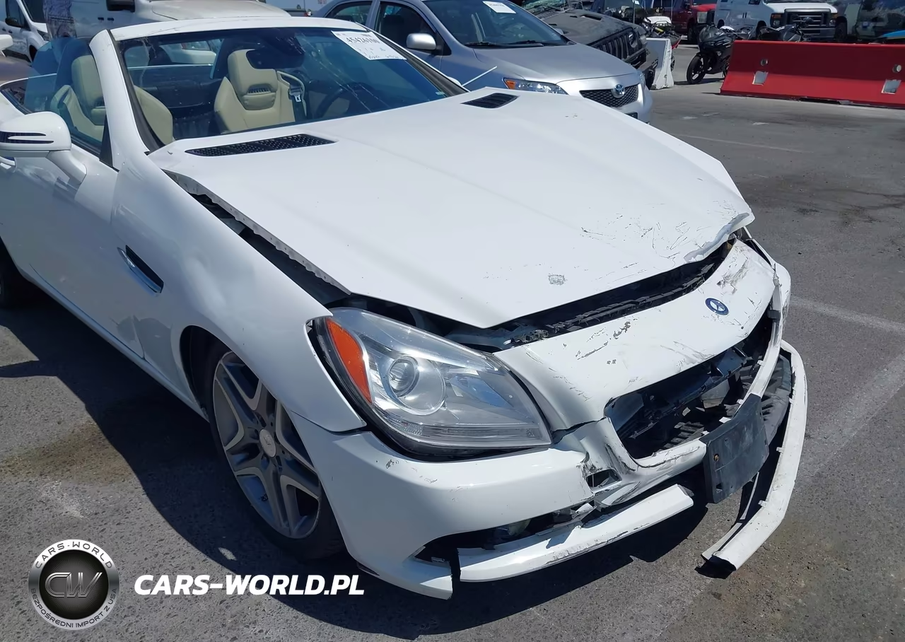 2015 Mercedes-Benz Slk 250 VIN:WDDPK4HA6FF097441 - 17