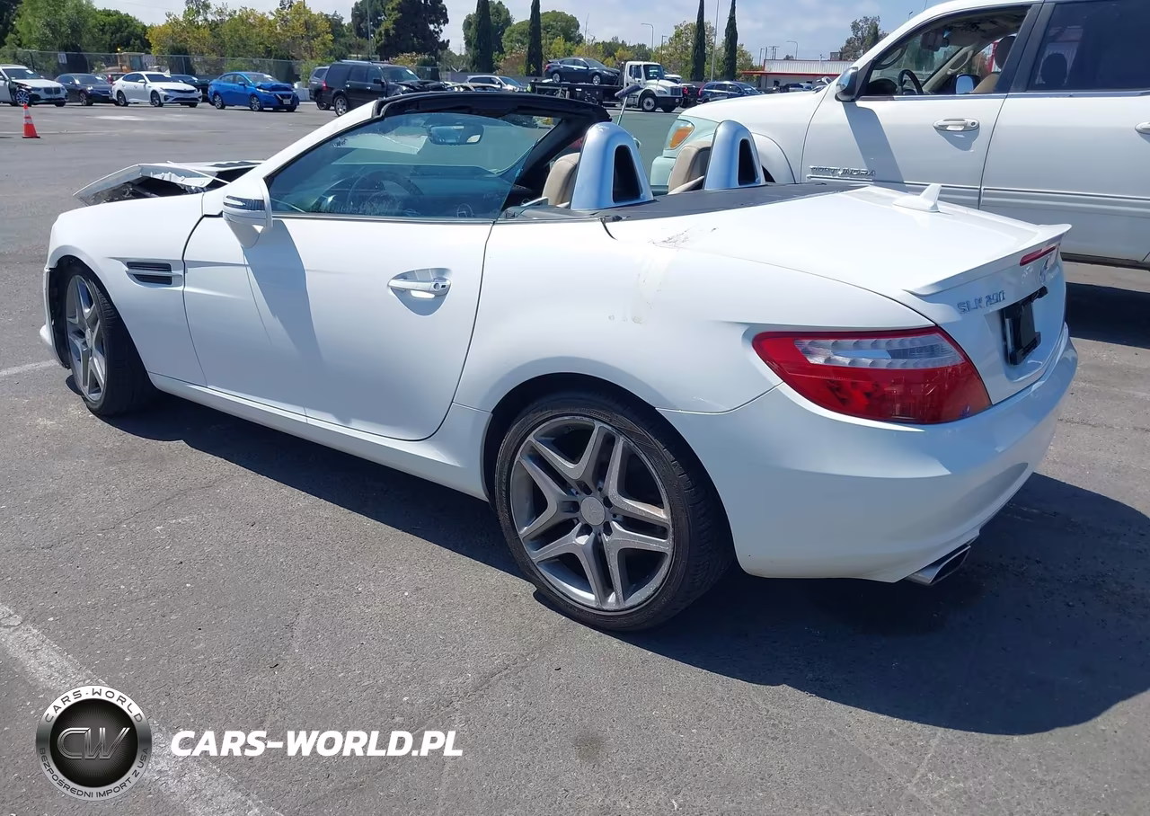 2015 Mercedes-Benz Slk 250 VIN:WDDPK4HA6FF097441 - 3
