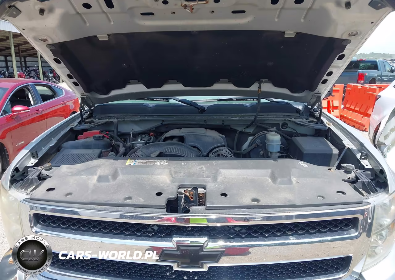 2010 Chevrolet Silverado 1500 Work Truck VIN:1GCSKPEA2AZ290204 - 10