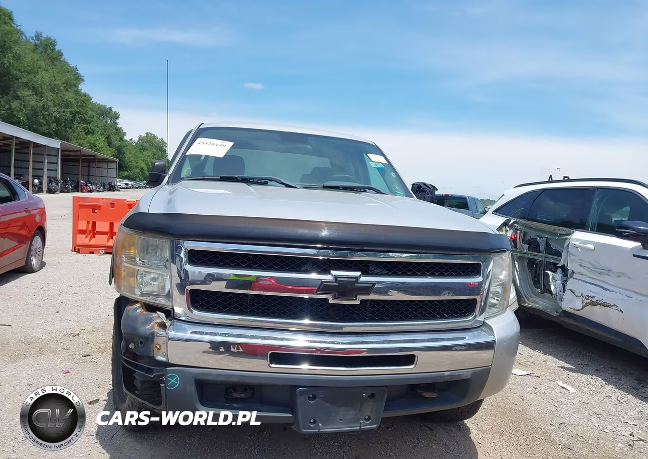 2010 Chevrolet Silverado 1500 Work Truck VIN:1GCSKPEA2AZ290204 - 12