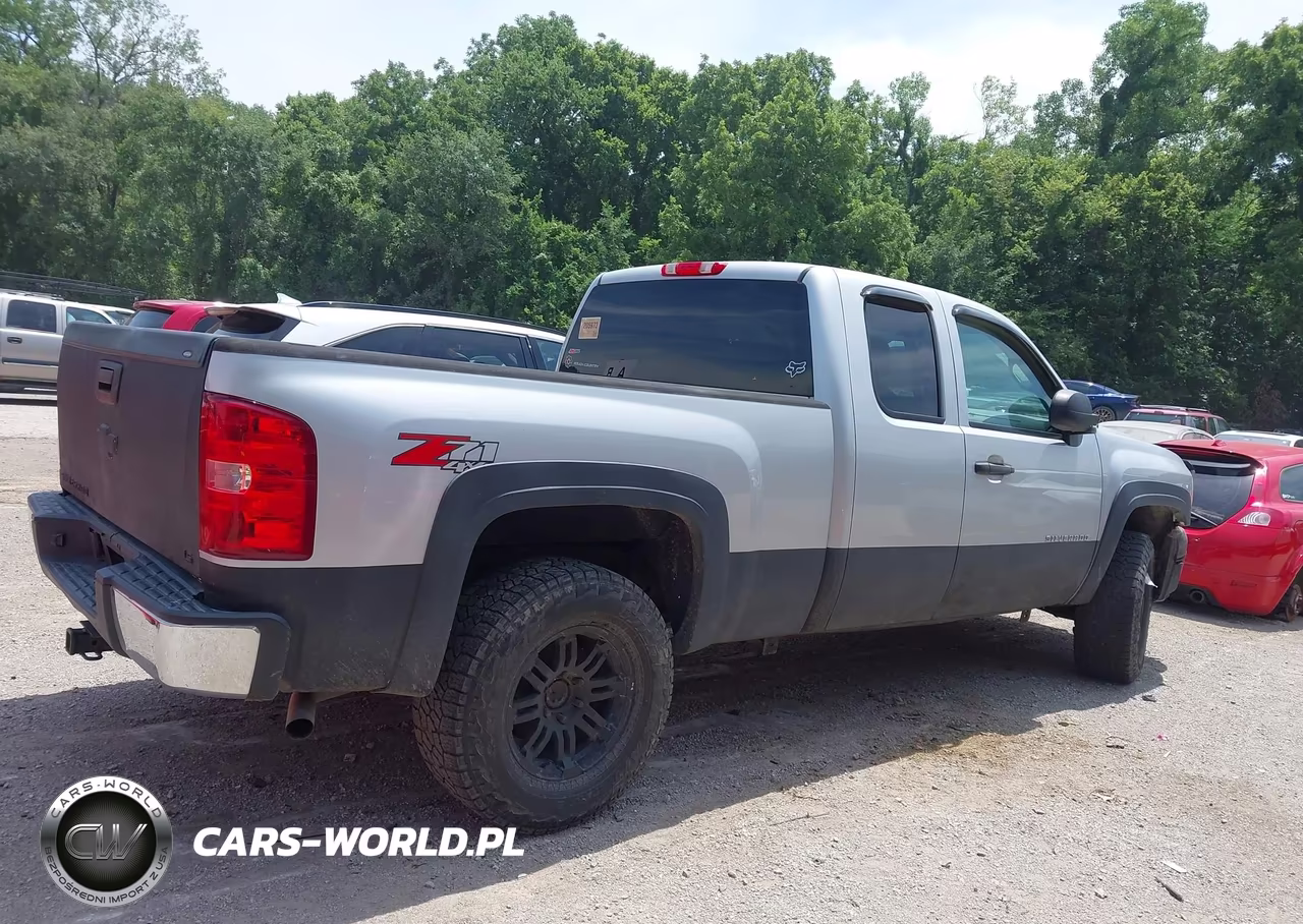 2010 Chevrolet Silverado 1500 Work Truck VIN:1GCSKPEA2AZ290204 - 13
