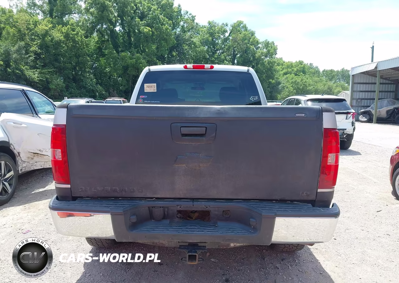 2010 Chevrolet Silverado 1500 Work Truck VIN:1GCSKPEA2AZ290204 - 16