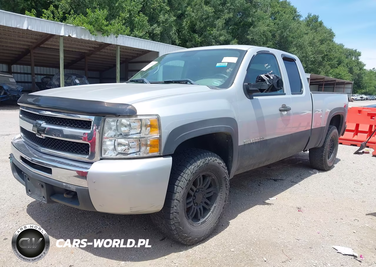 2010 Chevrolet Silverado 1500 Work Truck VIN:1GCSKPEA2AZ290204 - 2