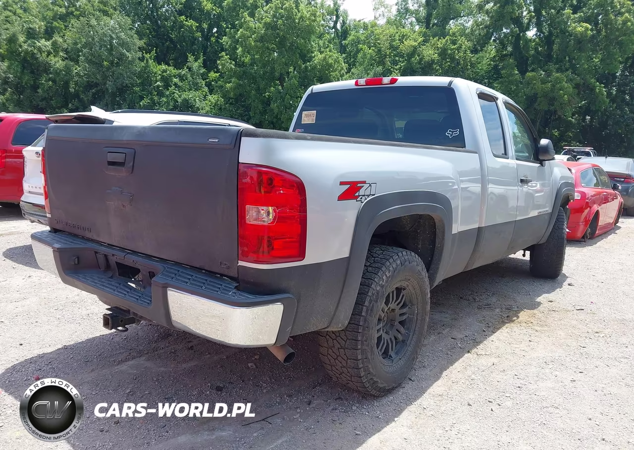 2010 Chevrolet Silverado 1500 Work Truck VIN:1GCSKPEA2AZ290204 - 4