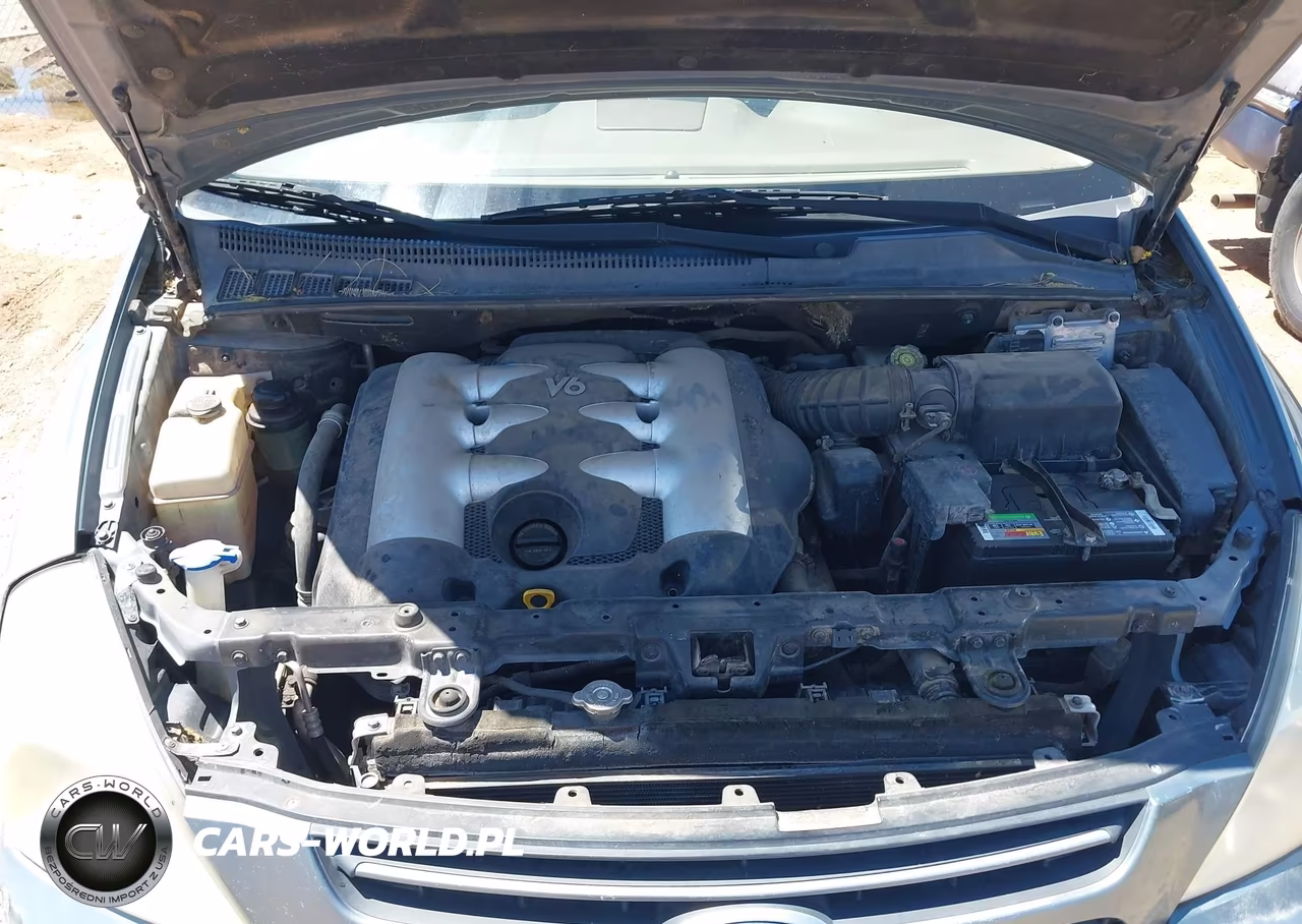 2007 Kia Sedona Lx VIN:KNDMB233376162127 - 10