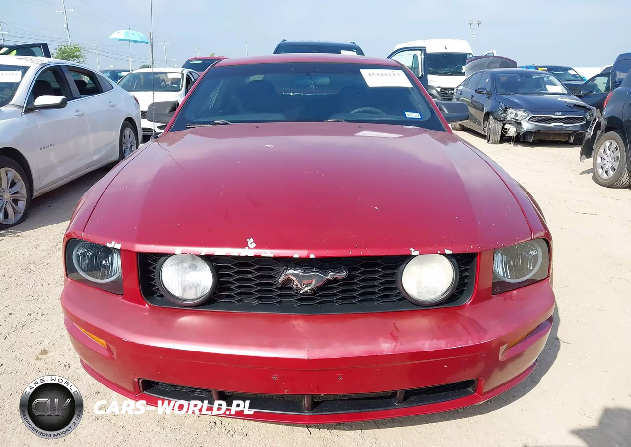 2006 Ford Mustang Gt VIN:1ZVHT82H765208767 - 12