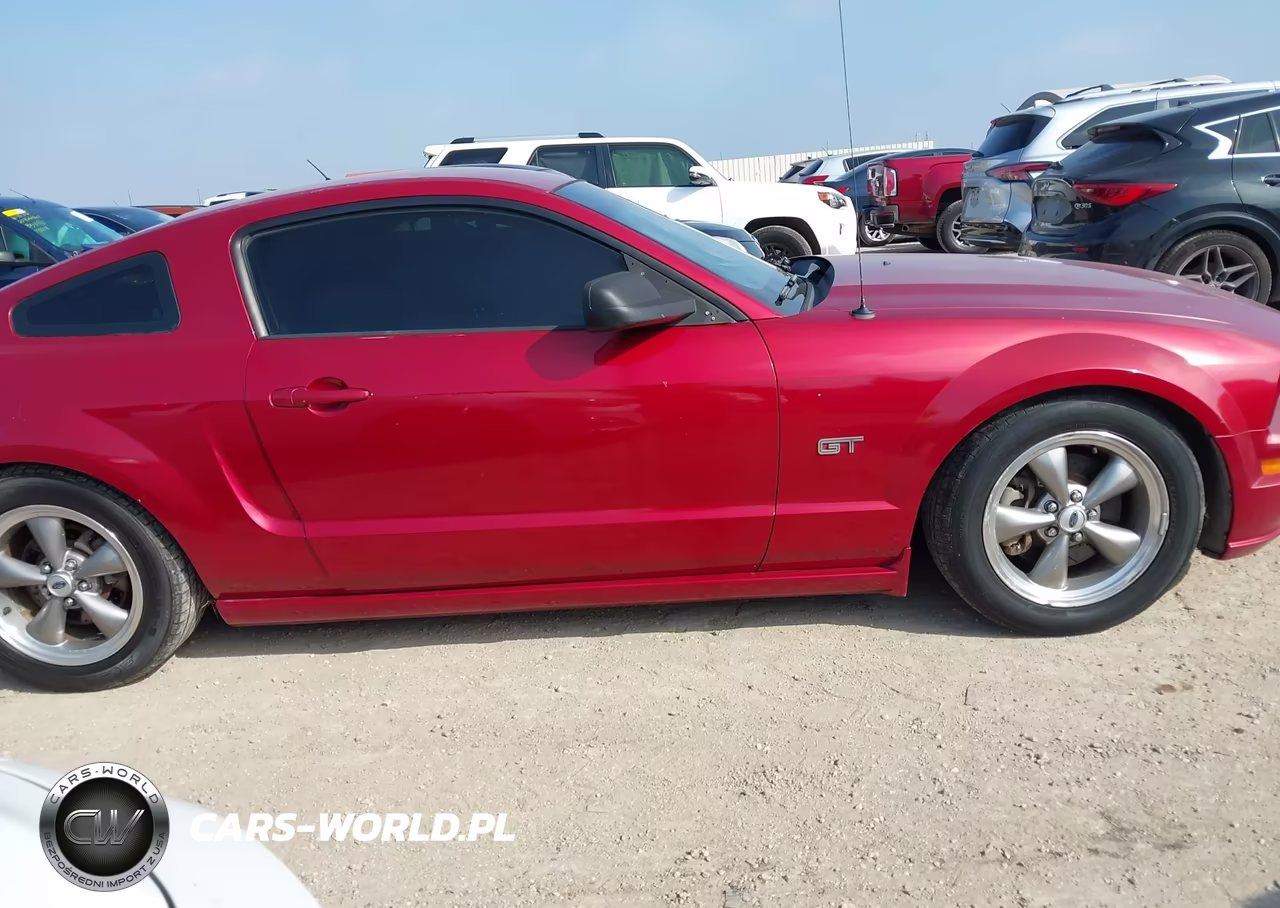 2006 Ford Mustang Gt VIN:1ZVHT82H765208767 - 13