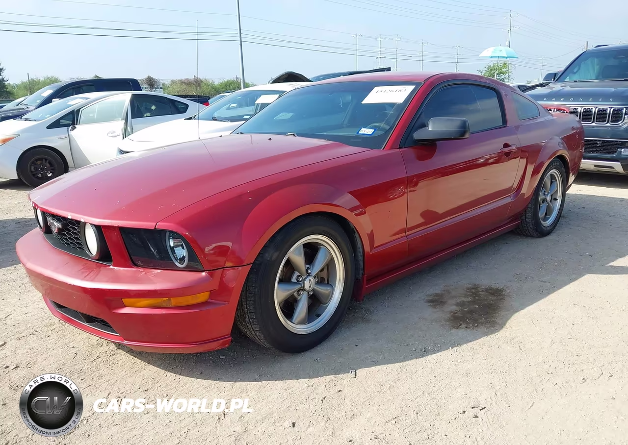 2006 Ford Mustang Gt VIN:1ZVHT82H765208767 - 2