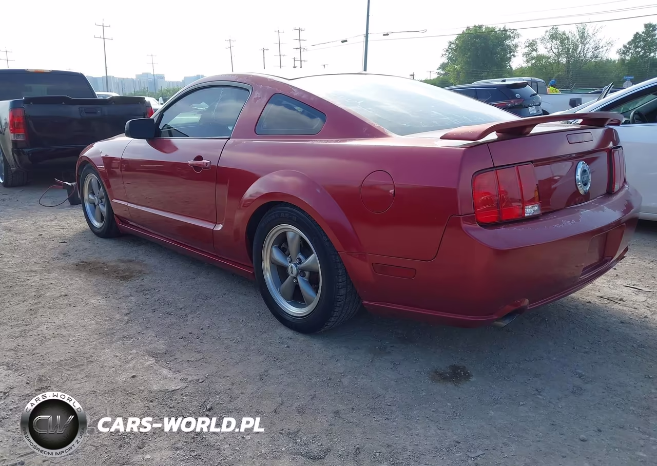 2006 Ford Mustang Gt VIN:1ZVHT82H765208767 - 3