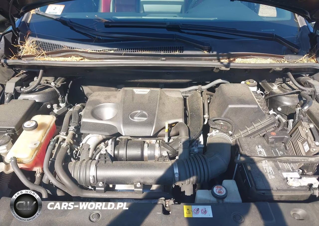 2019 Lexus Nx 300 F Sport VIN:JTJBARBZXK2189802 - 10