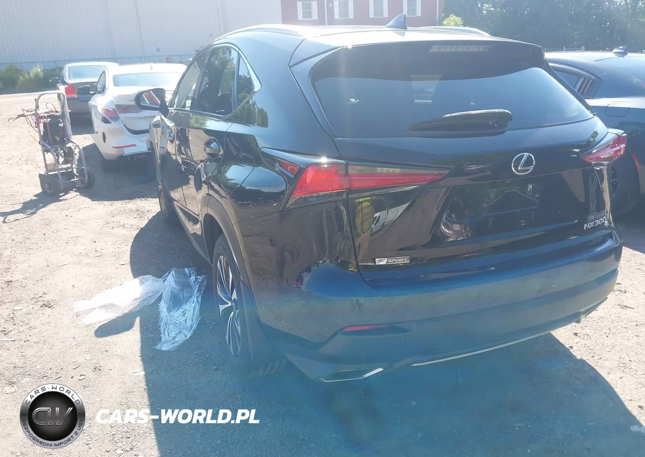 2019 Lexus Nx 300 F Sport VIN:JTJBARBZXK2189802 - 3
