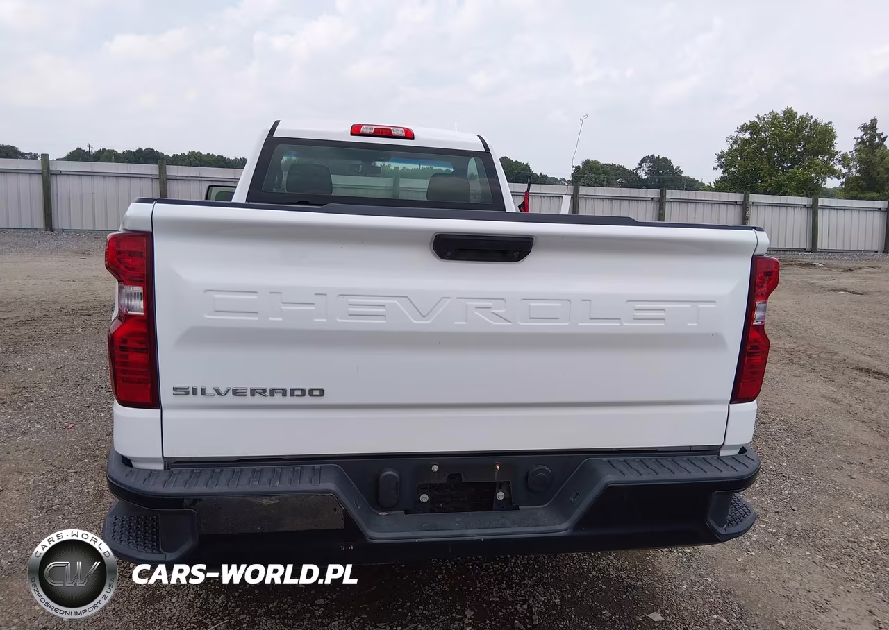 2020 Chevrolet Silverado 1500 2Wd Long Bed Wt VIN:3GCNWAEH5LG223661 - 17