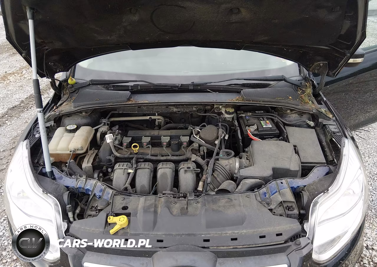 2014 Ford Focus Se VIN:1FADP3F29EL440964 - 10