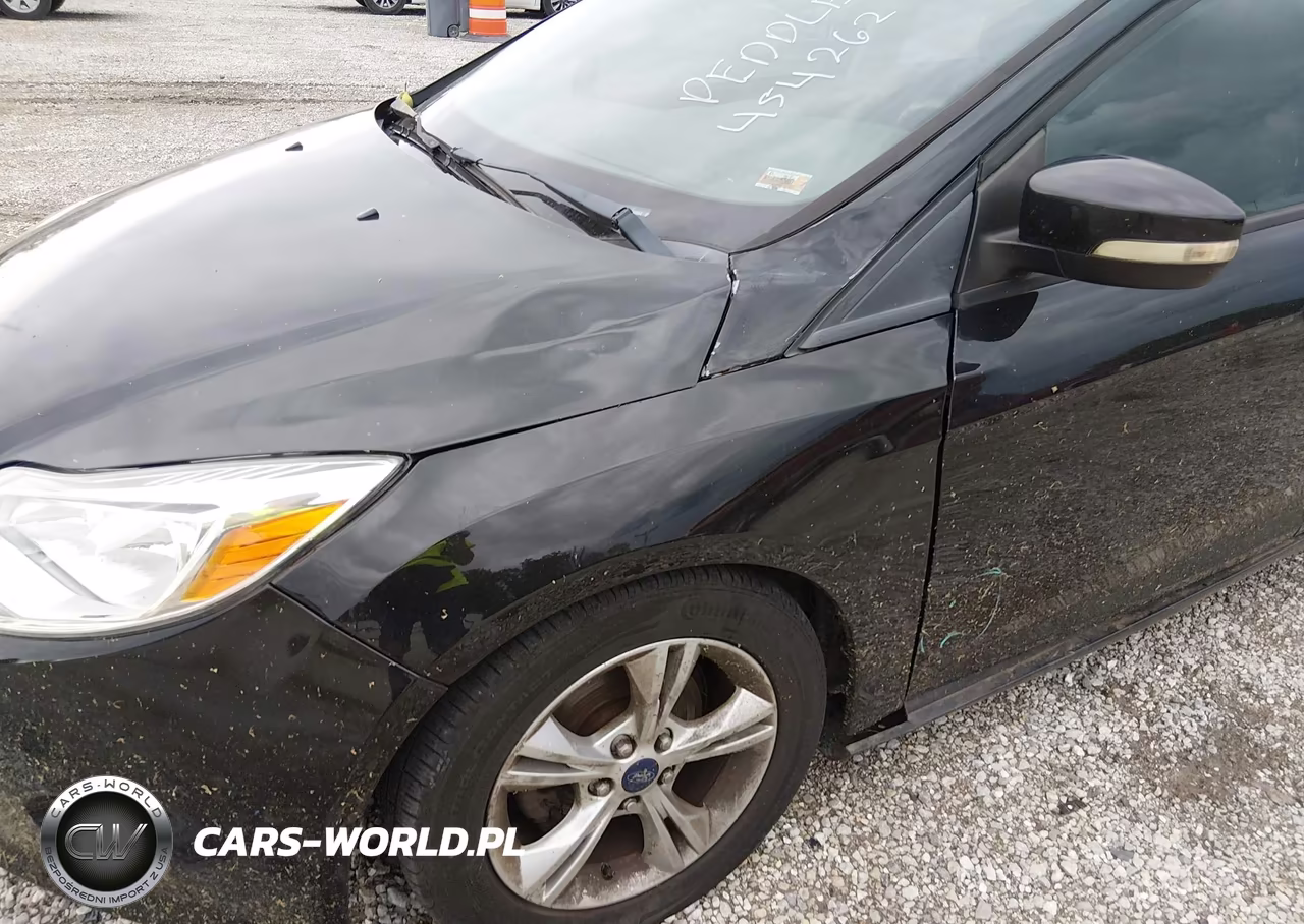 2014 Ford Focus Se VIN:1FADP3F29EL440964 - 6