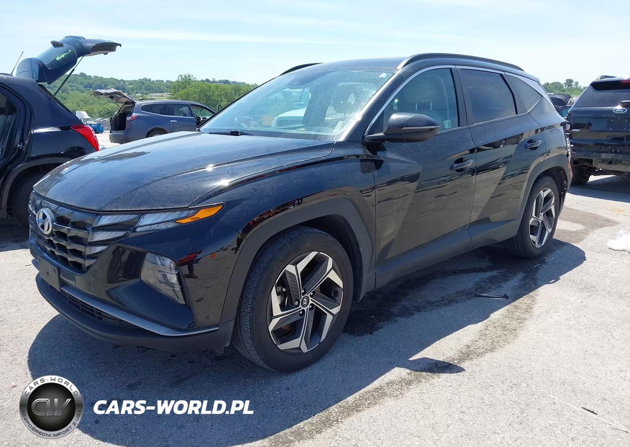 2024 Hyundai Tucson Sel VIN:5NMJF3DE0RH396826 - 2