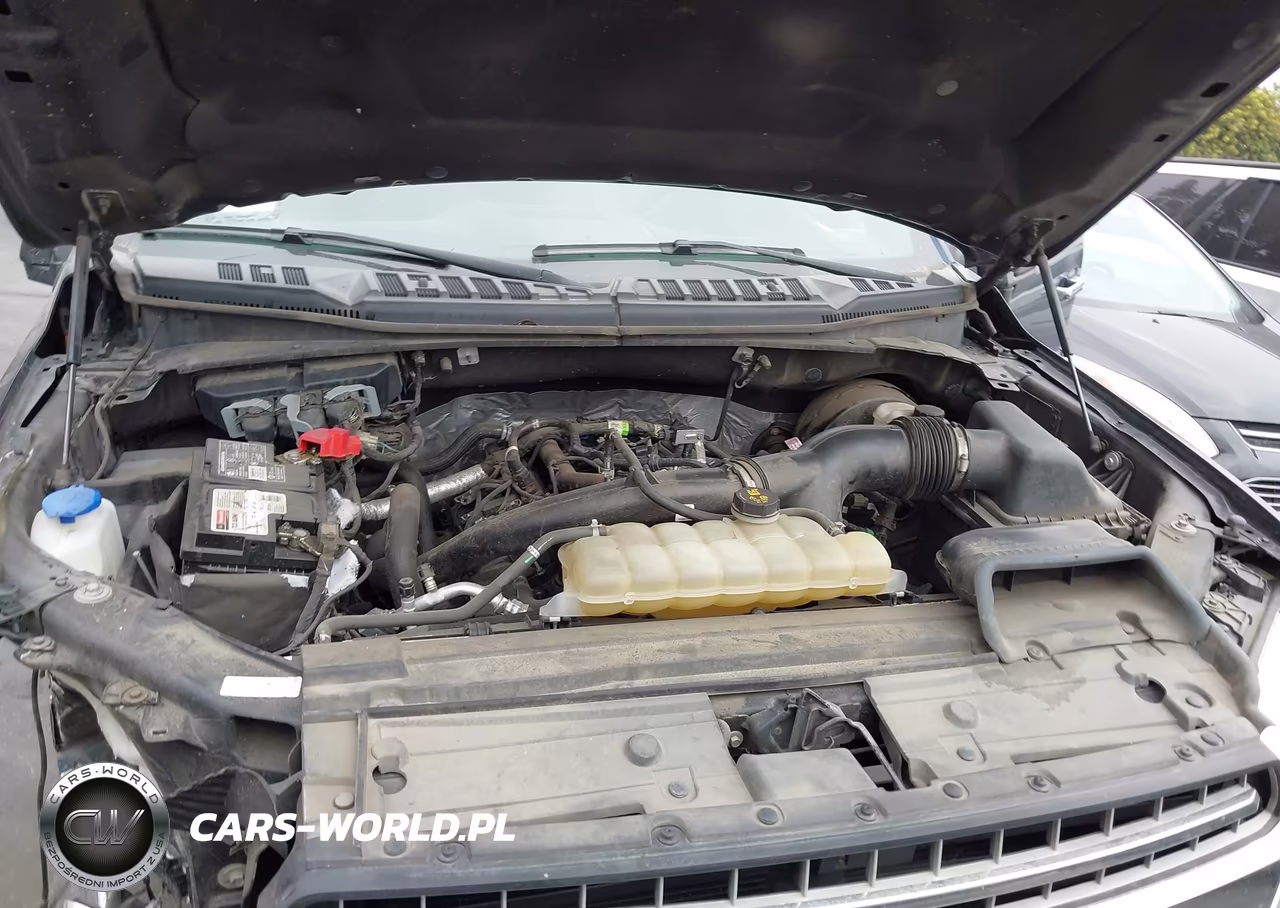2019 Ford F-150 Xlt VIN:1FTEW1CP6KKD90435 - 10