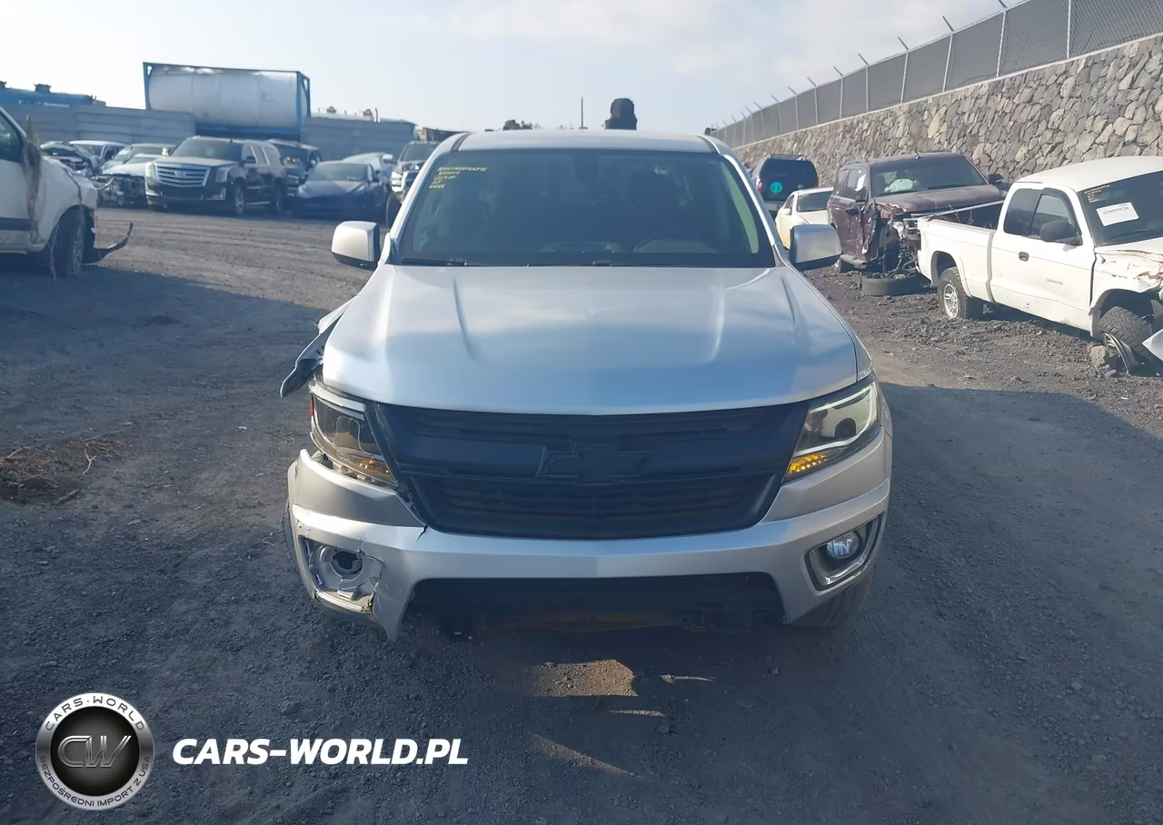 2017 Chevrolet Colorado 4Wd Lt VIN:1GCGTCEN5H1161400 - 12